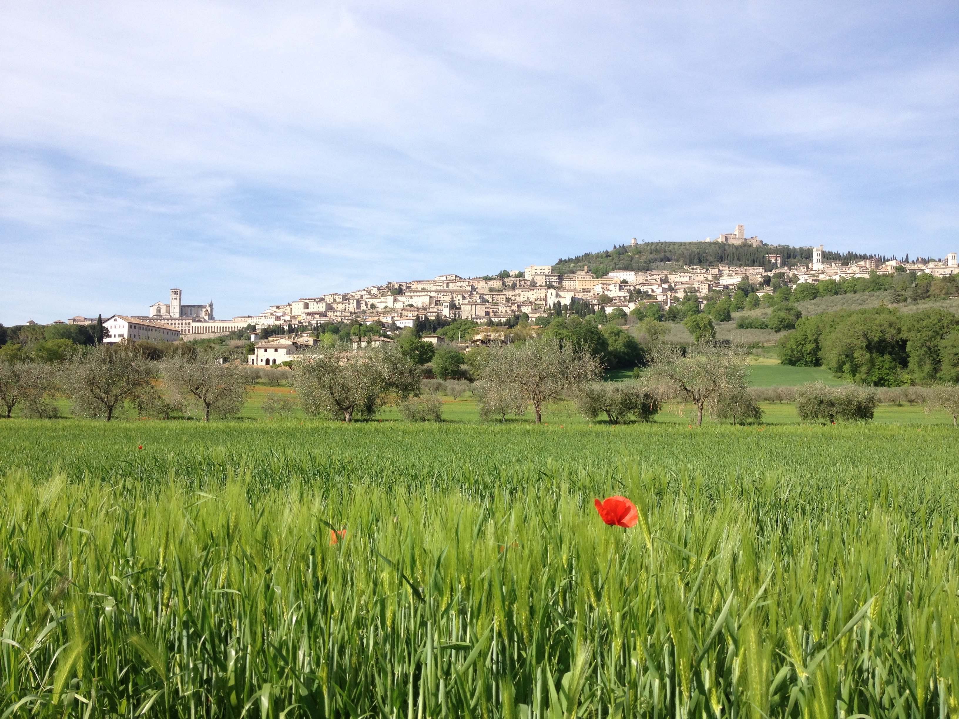 Assisi Familien2018 StadtPanorama9