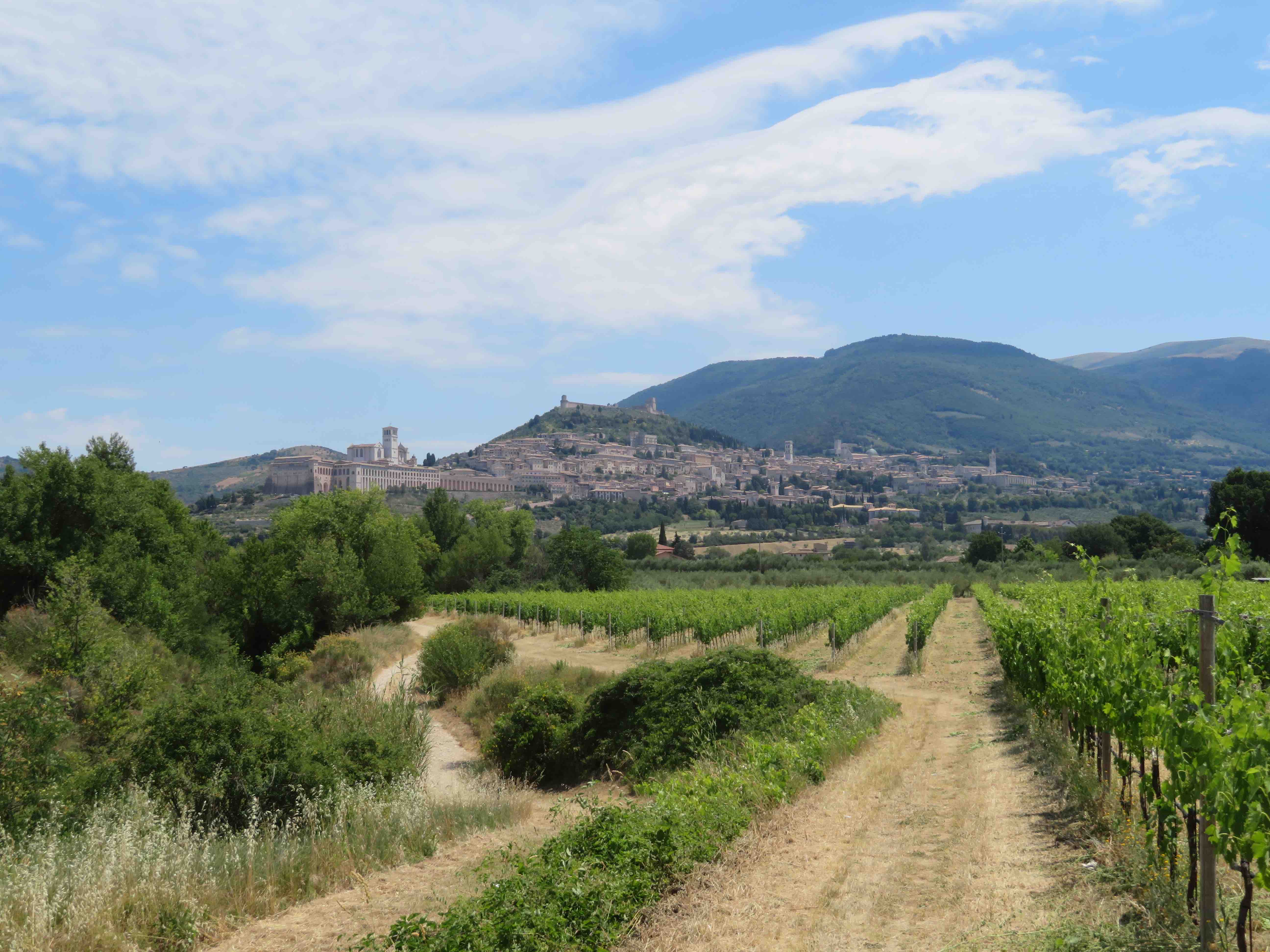 Assisi Klaraweg SentieroVerde2017Juni15
