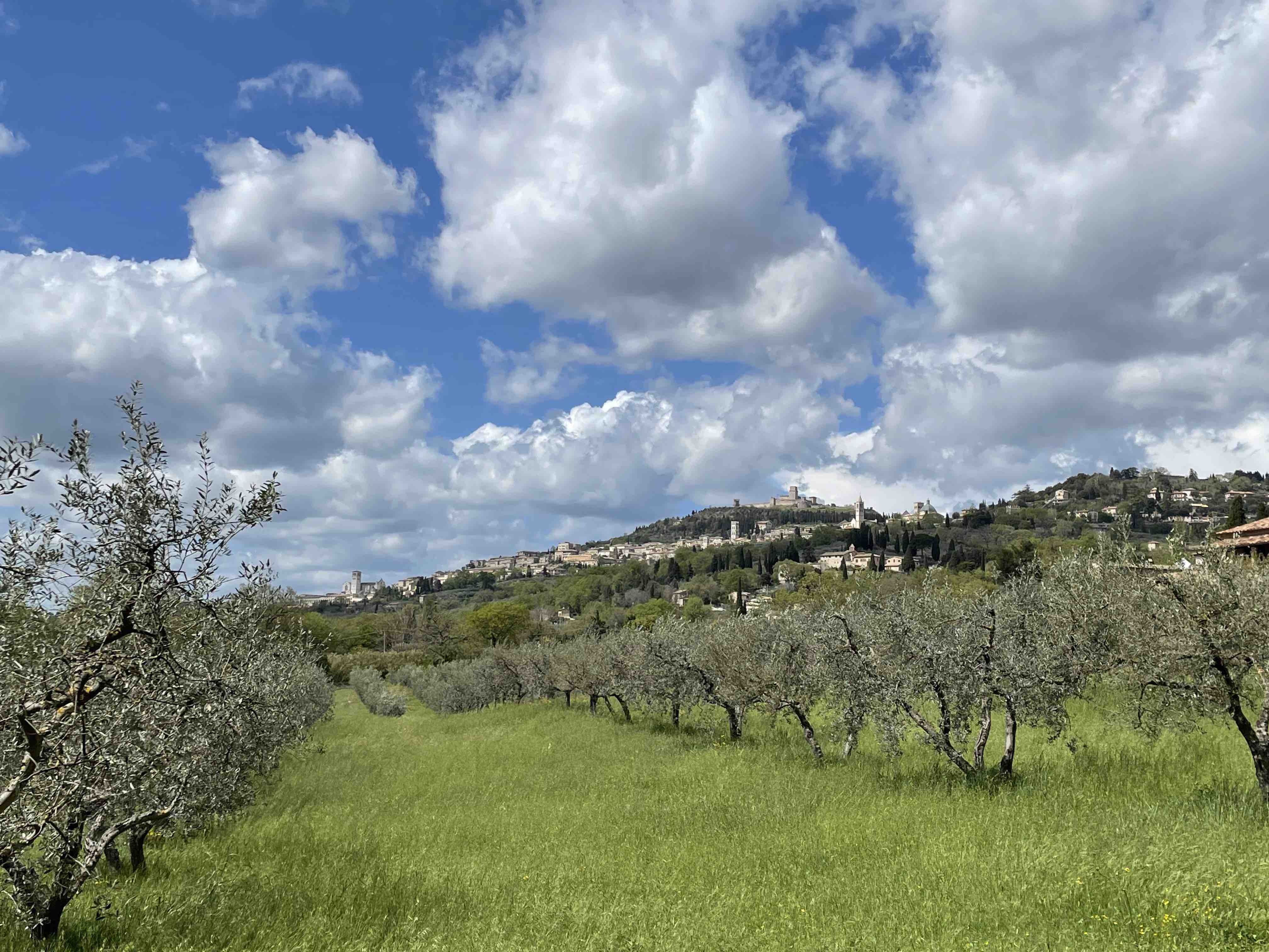 Assisi Religionen April2023 T2 Nm2 SanDamiano3