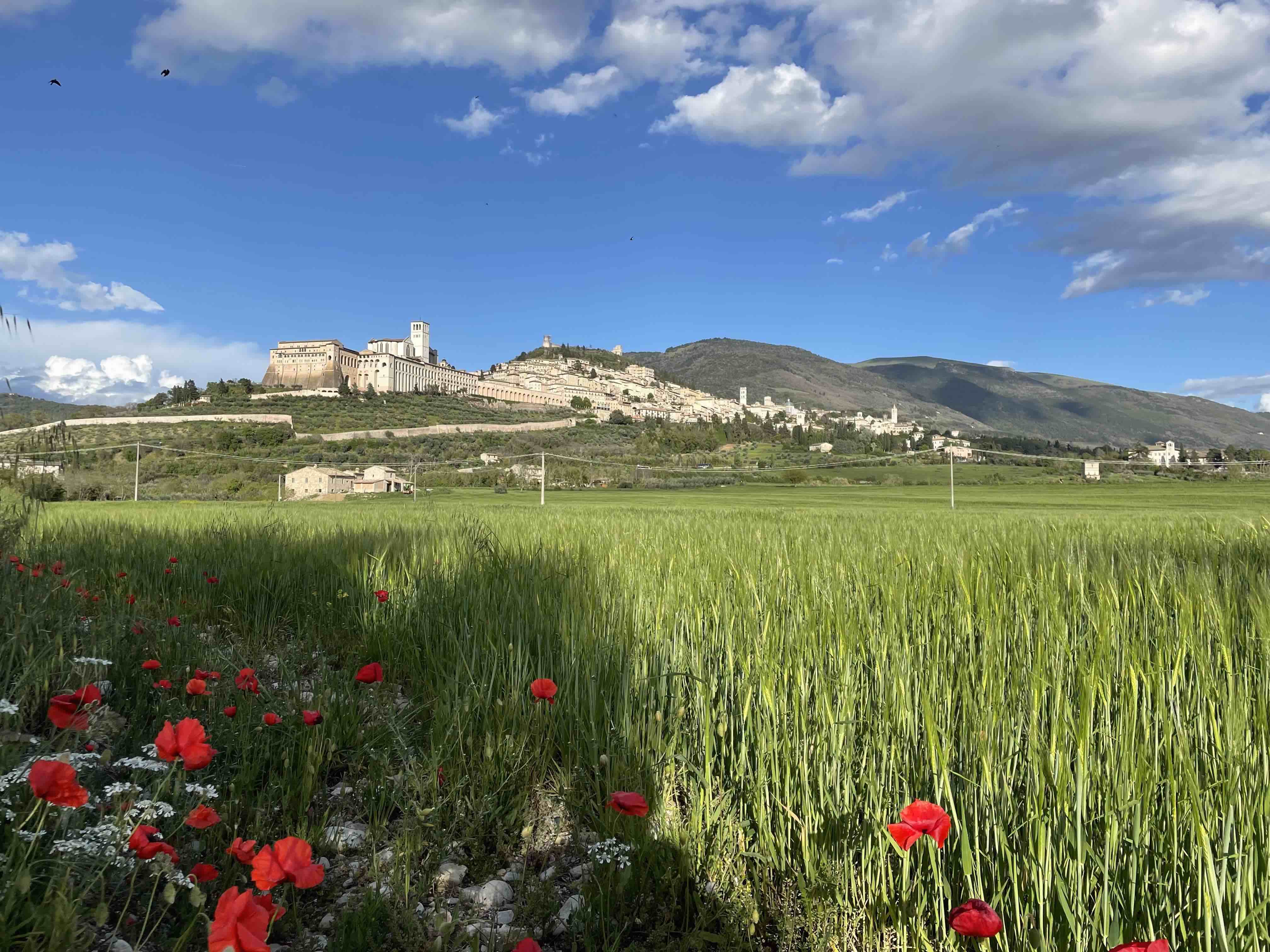 Assisi Religionen April2023 T2 Nm5 SentieroVerde13