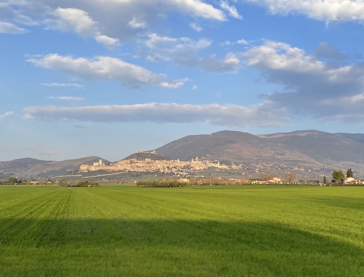Assisi Stiftung Impression2026b