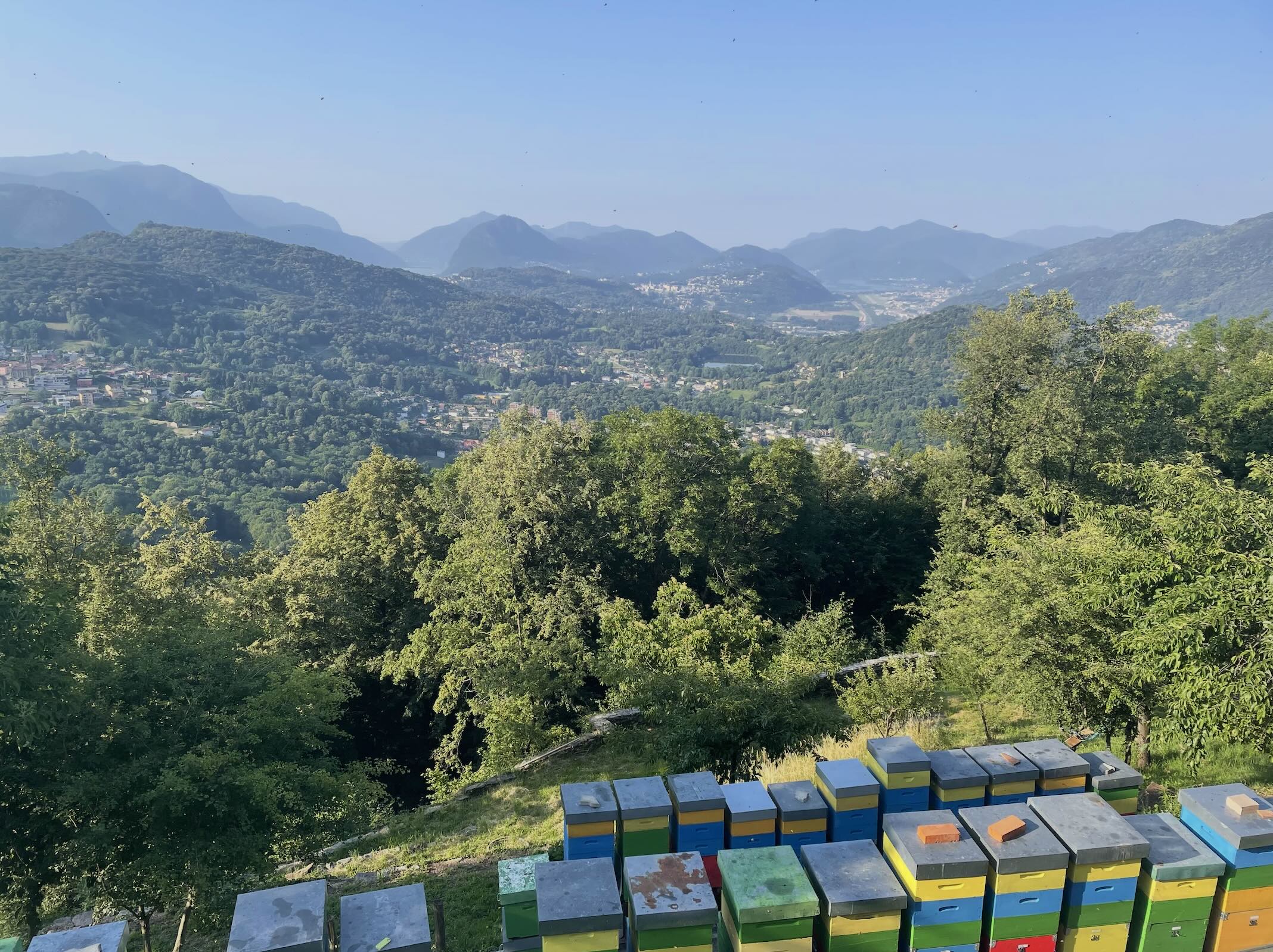 Bigoriotagung2026 Panorama