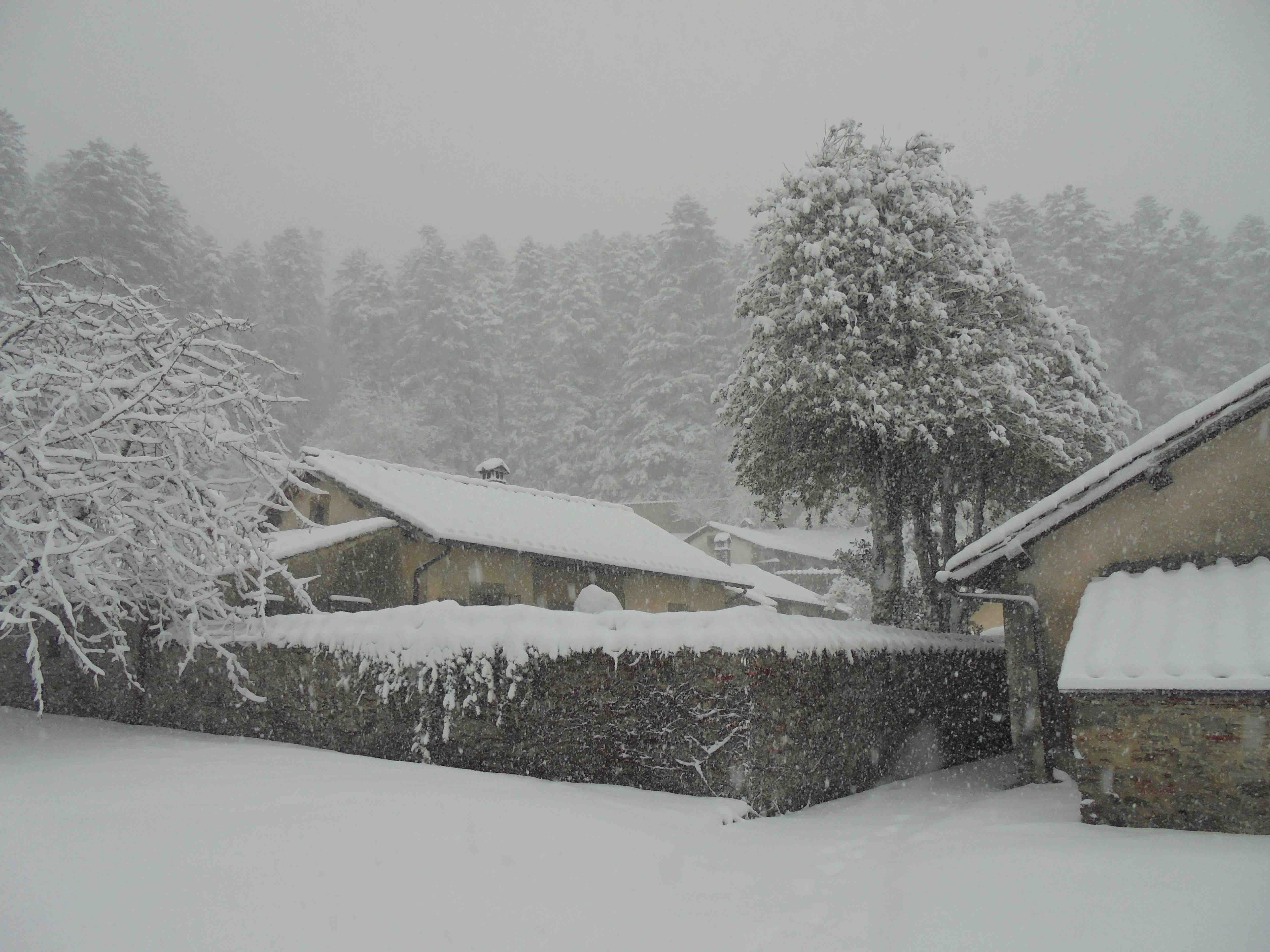 Camaldoli Schneefall2017e
