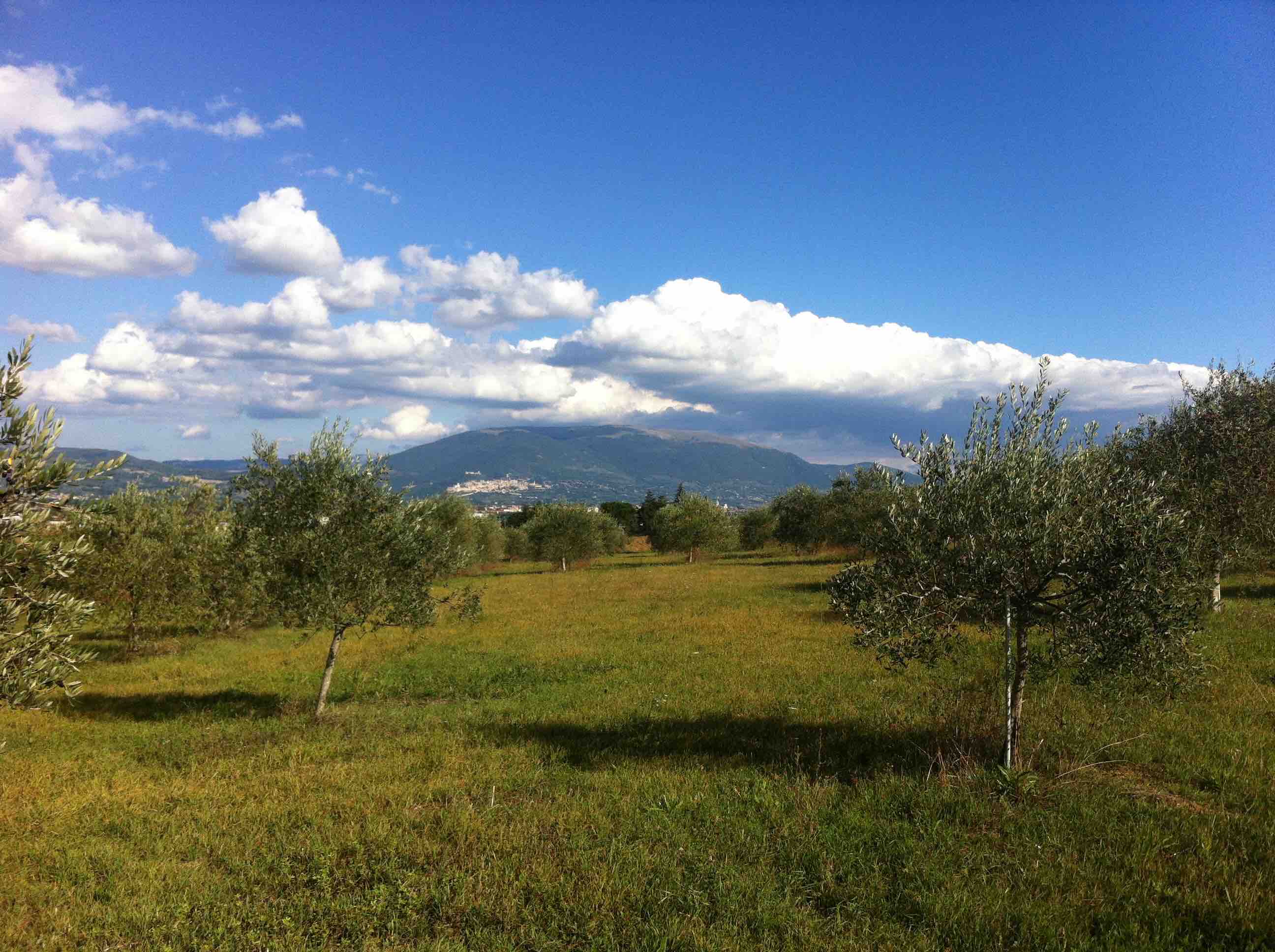 LaVerna Assisi Collestrada Assisi
