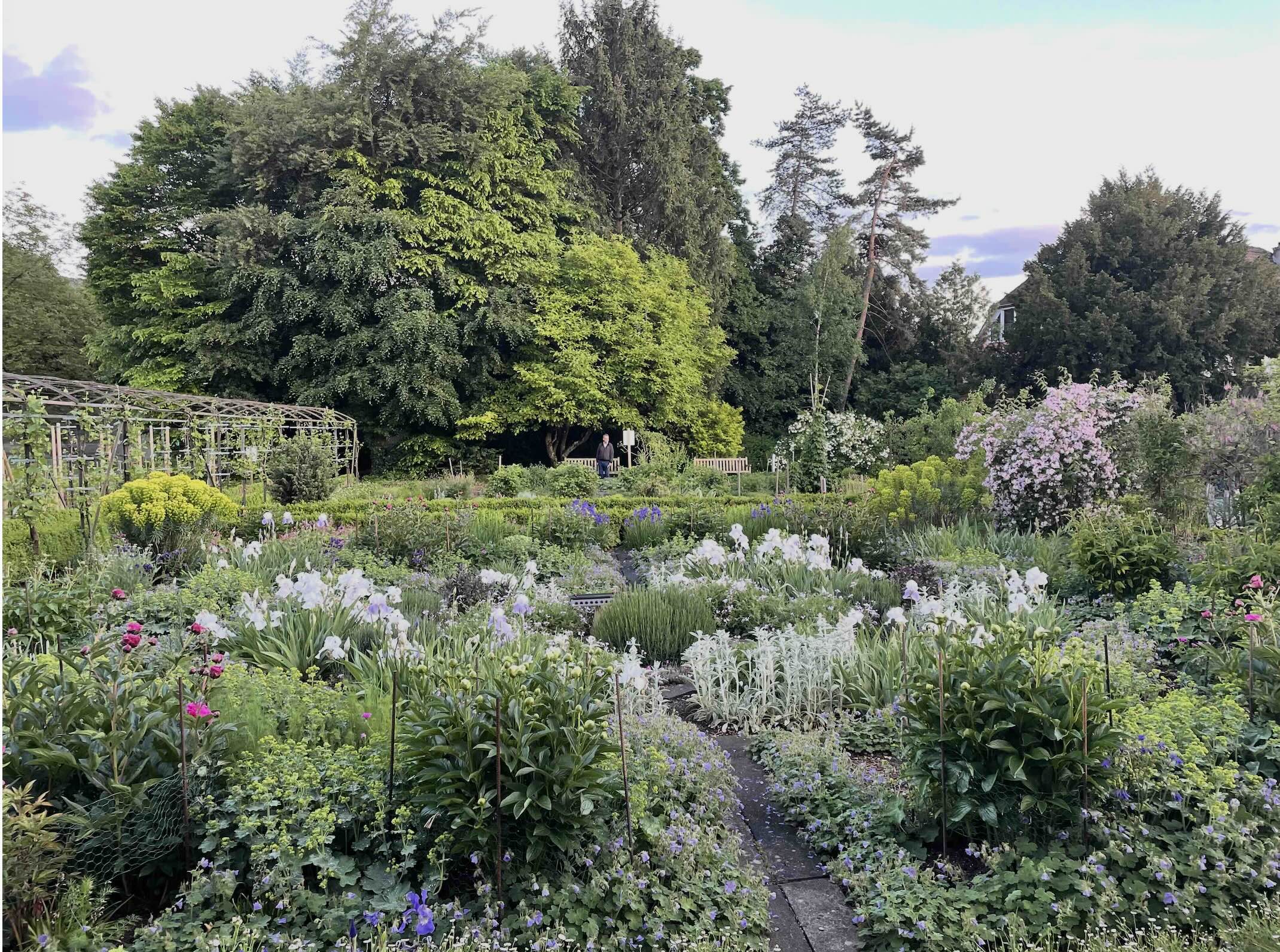 Momentum Dornach Mai2026 Garten Impression2