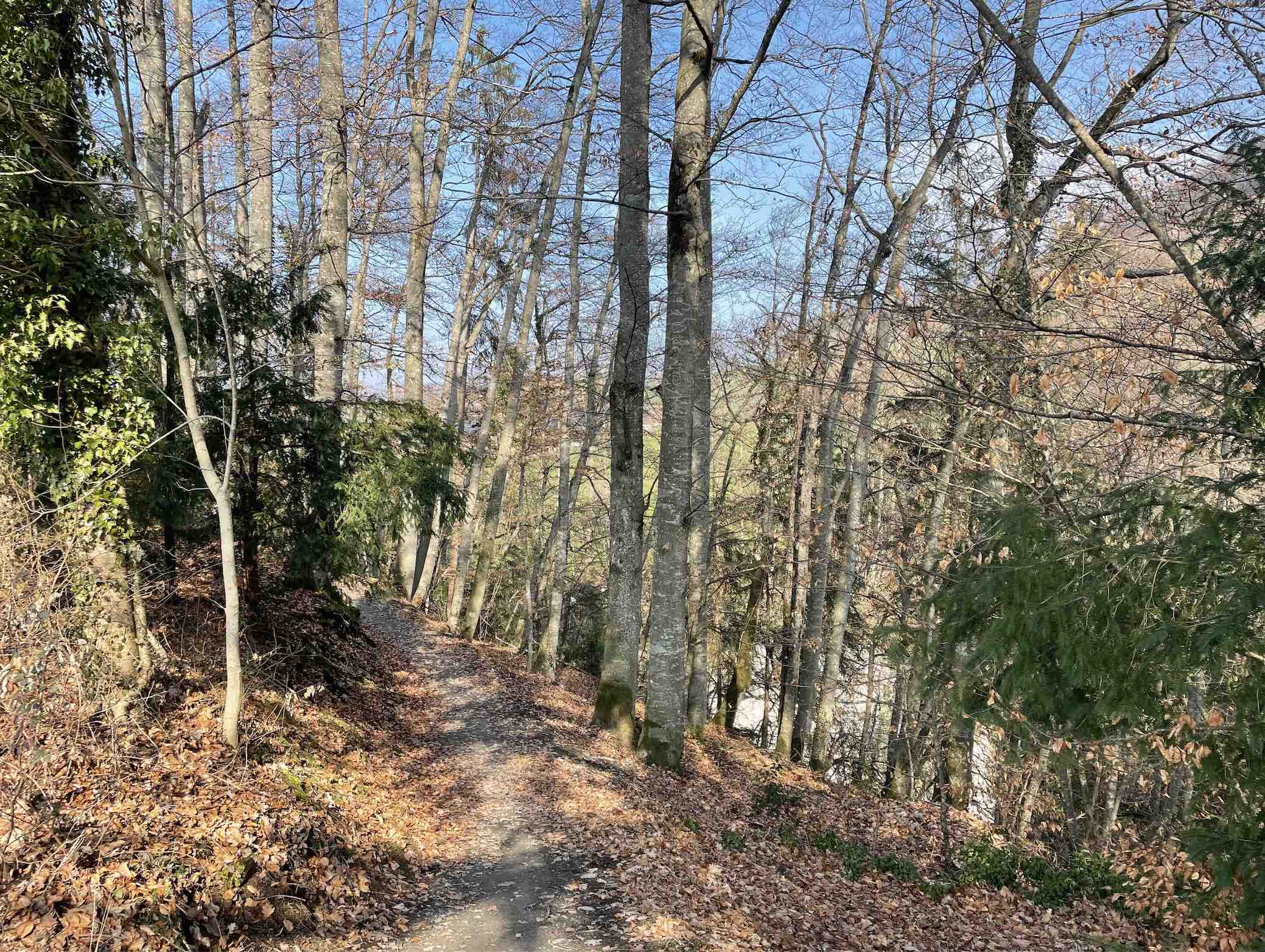 Ranftweg Alpnach Melchaaschlucht