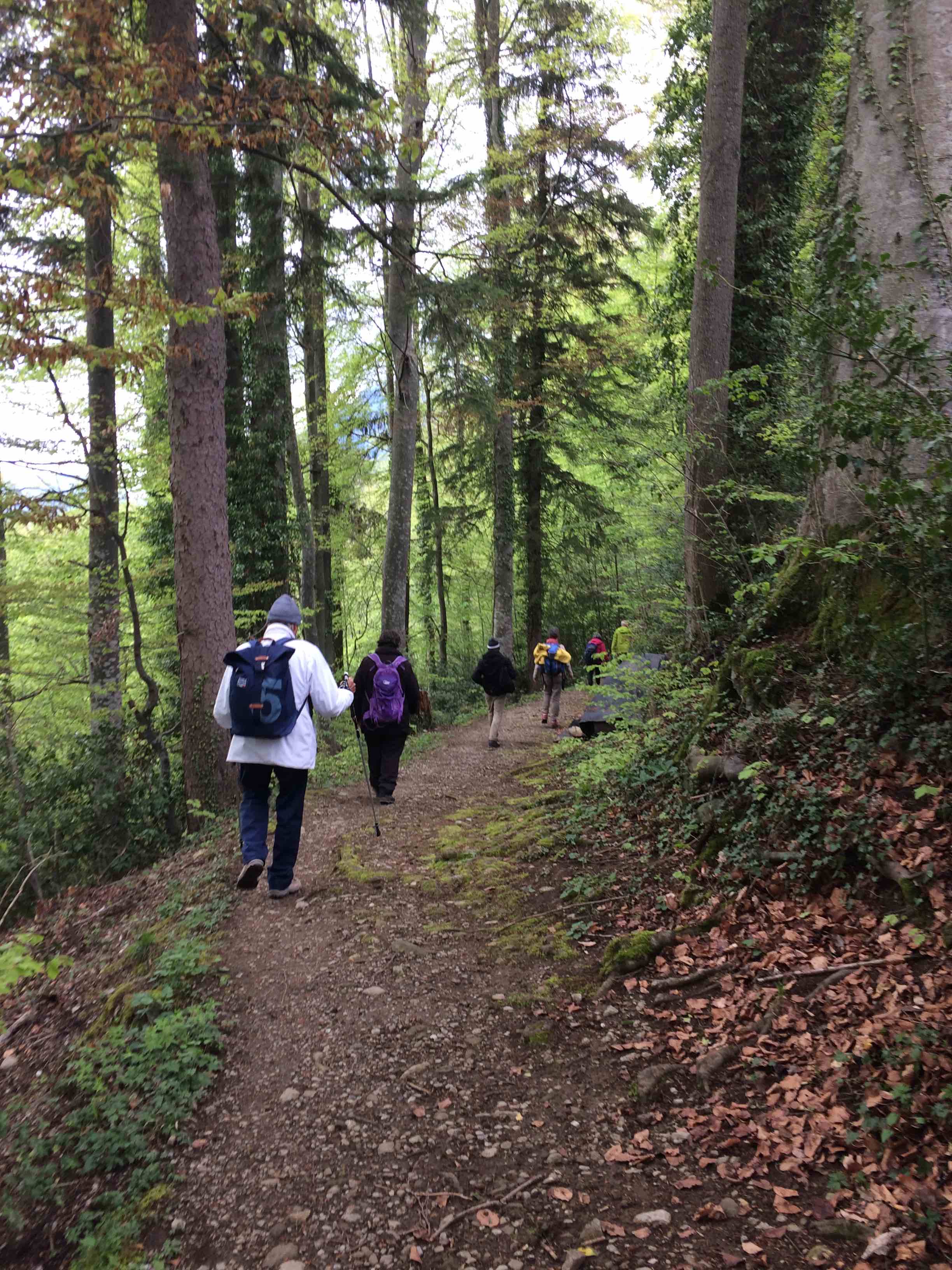 Ranftweg Sachseln2019 GruppePatrick