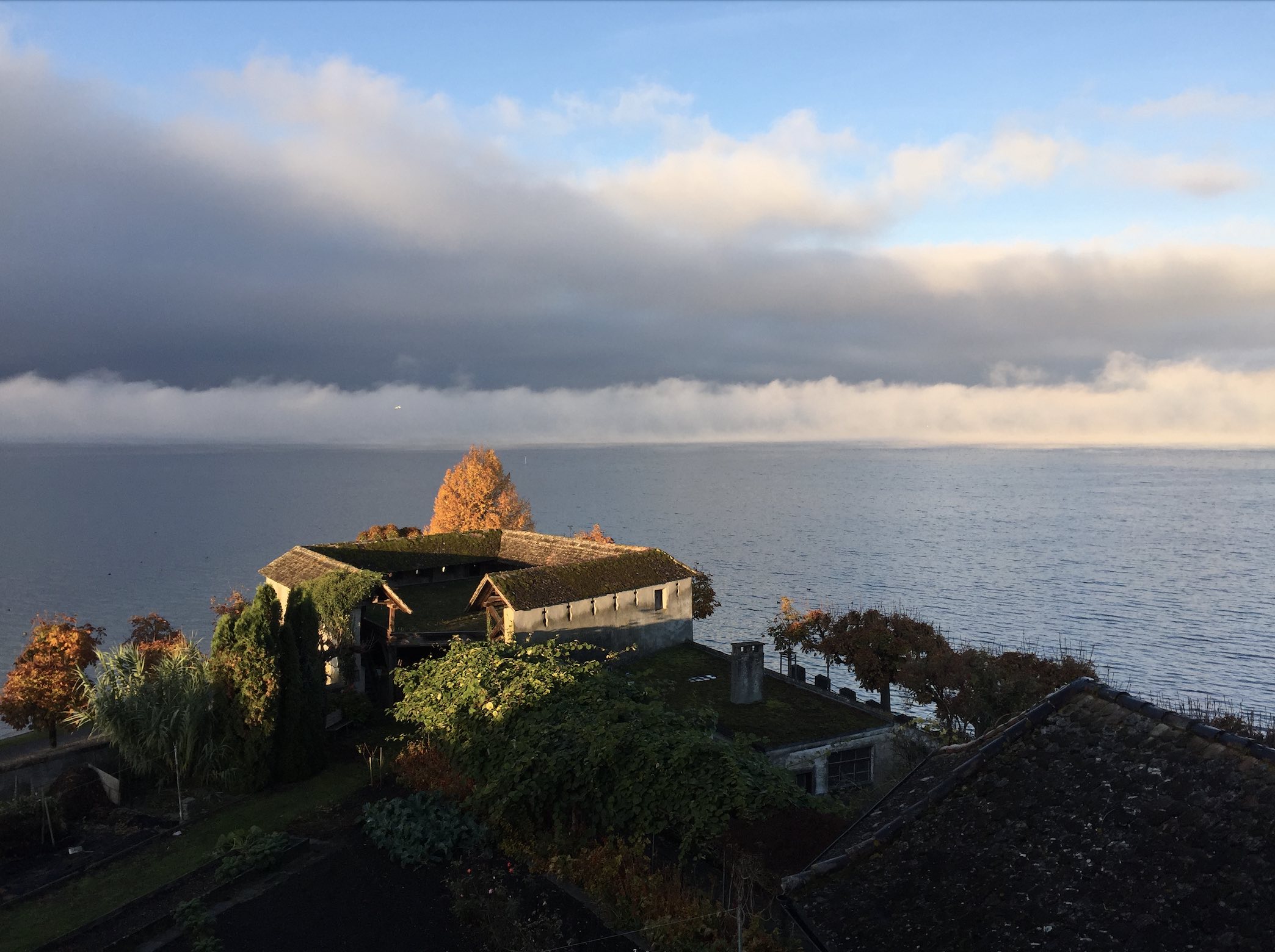 Rapperswil Herbst2021 LichtNebel