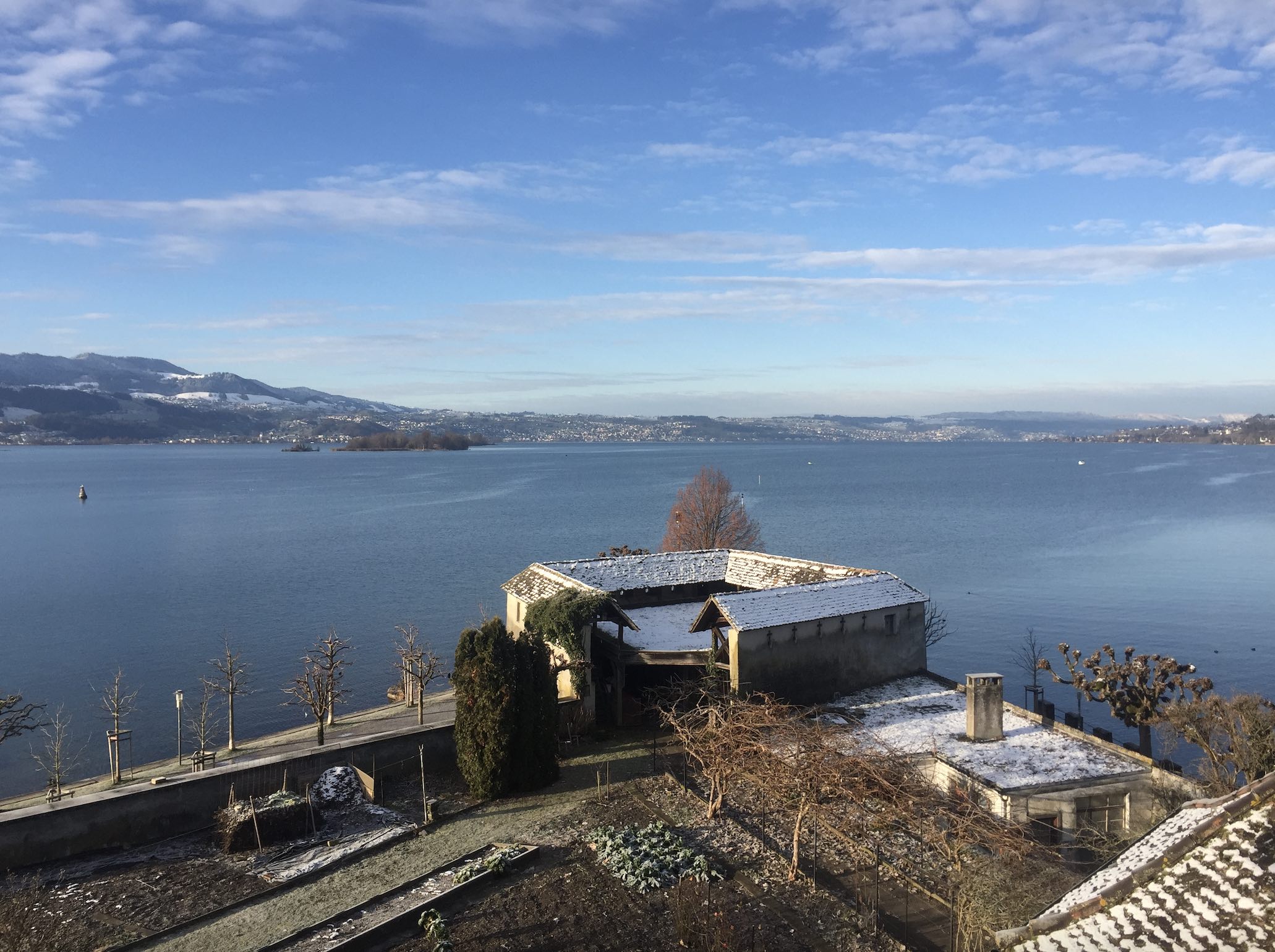 Rapperswil KlosterSee Winter2022