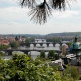 DSCN0101