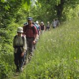 ranftweg2012-station2-hhenweg4