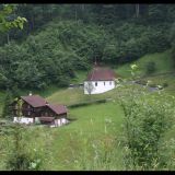 IMG_4471