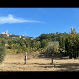 Blick_von_San_Masseo_herbstlich_2023