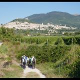 Assisi_sinnlich_II