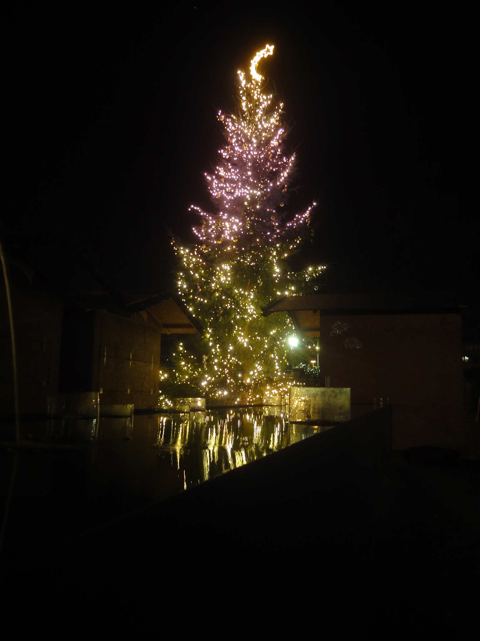 Adventsmarkt-Weihnachtsbaum1