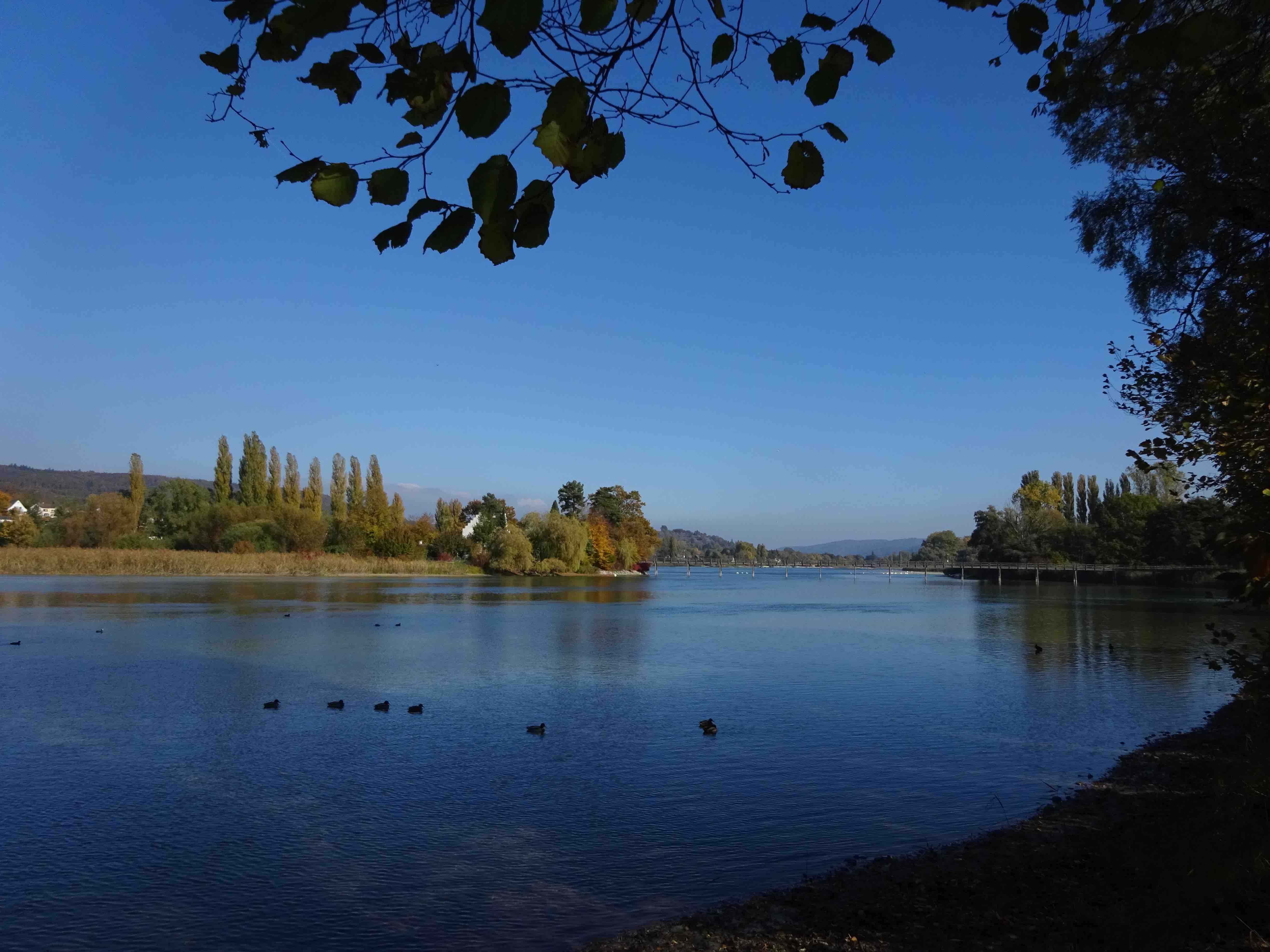 InselWerd-SteinRhein-Rheinsee