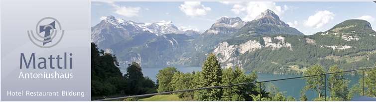 Mattli-Logo-Ausblick